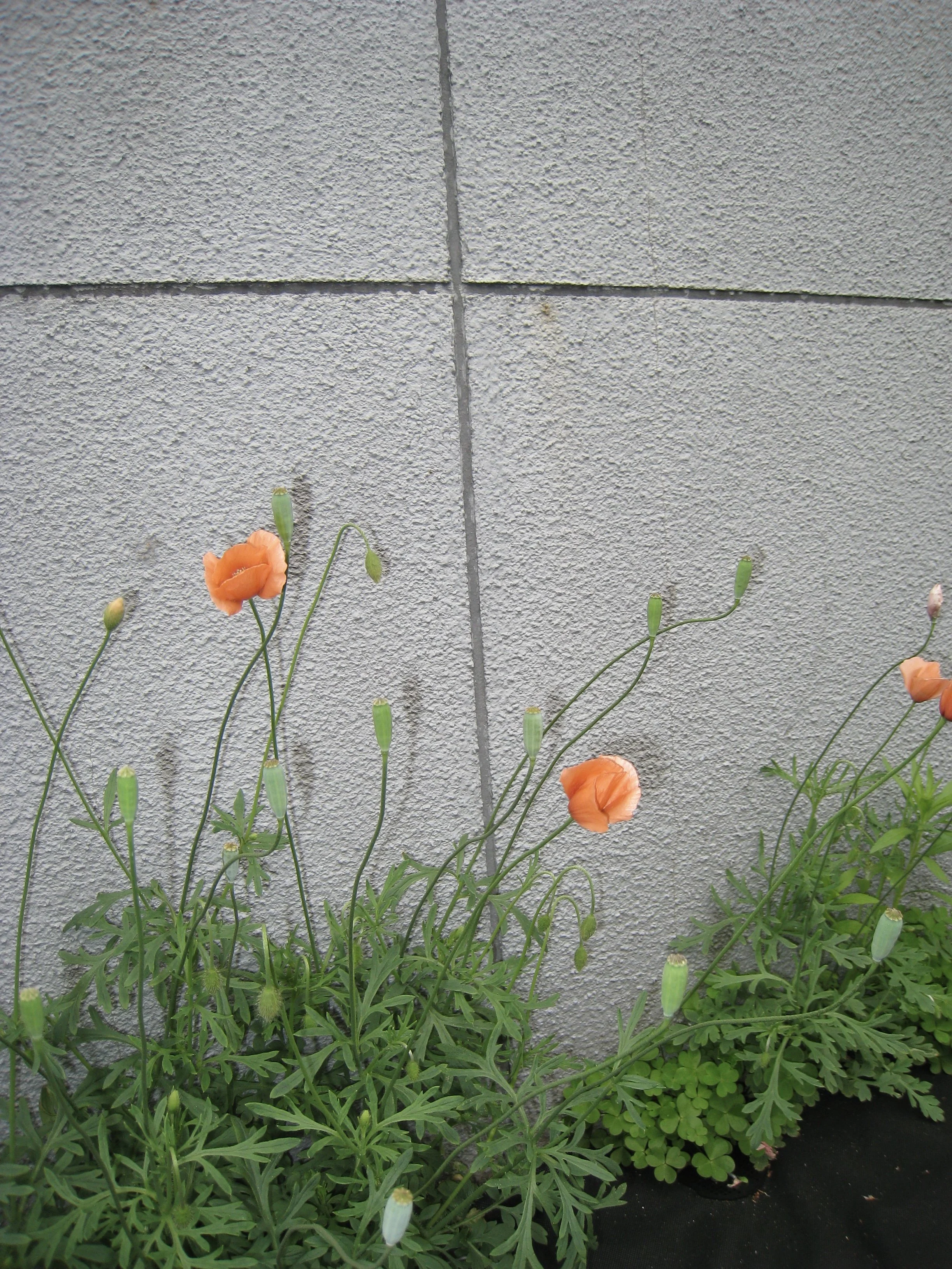 d85fa09bf21252f07044a8e1d68efbe1.jpg