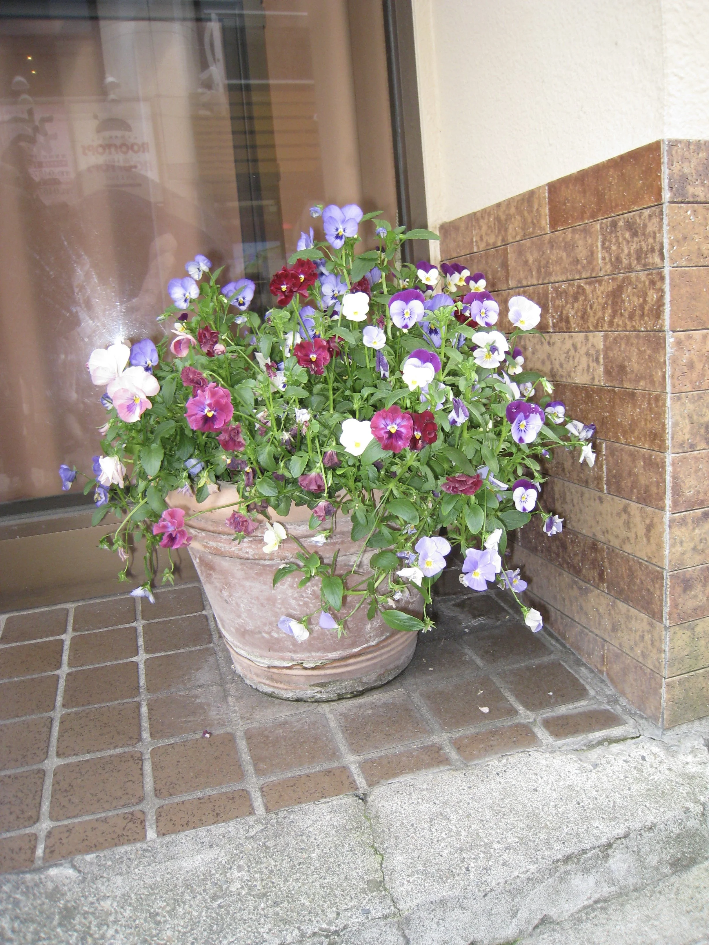 ec8d0cc72de99b26fbc86c8faf0791b1.jpg
