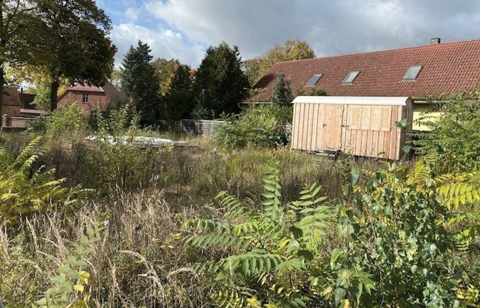 Screenshot 2026-02-10 at 20.47.47.png