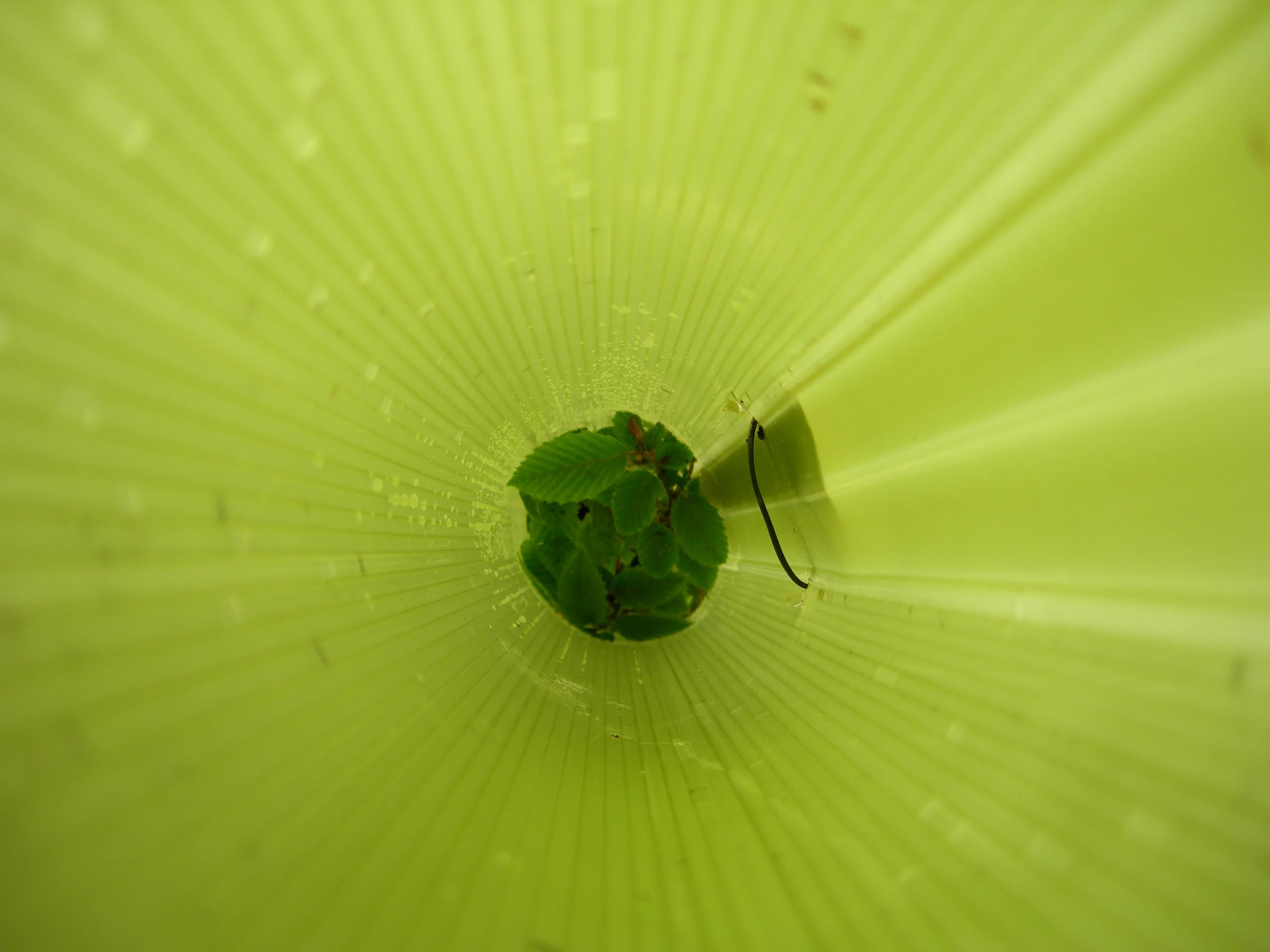 DSCN8311.JPG