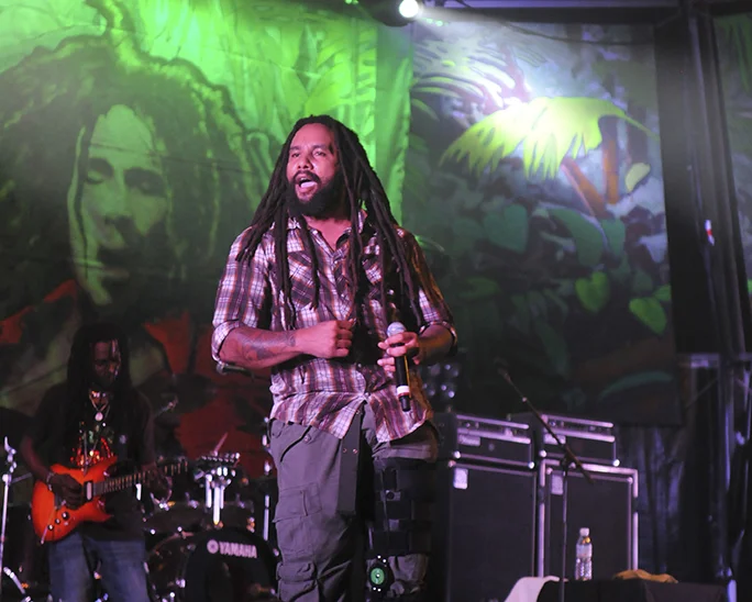 rototom 2011114.jpg