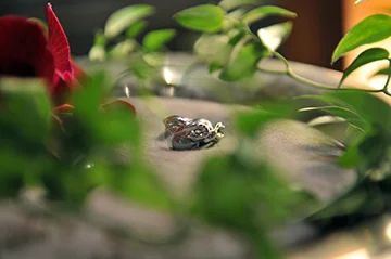 weddings010.jpg