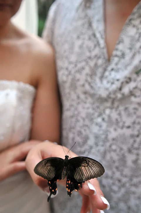 weddings112.jpg