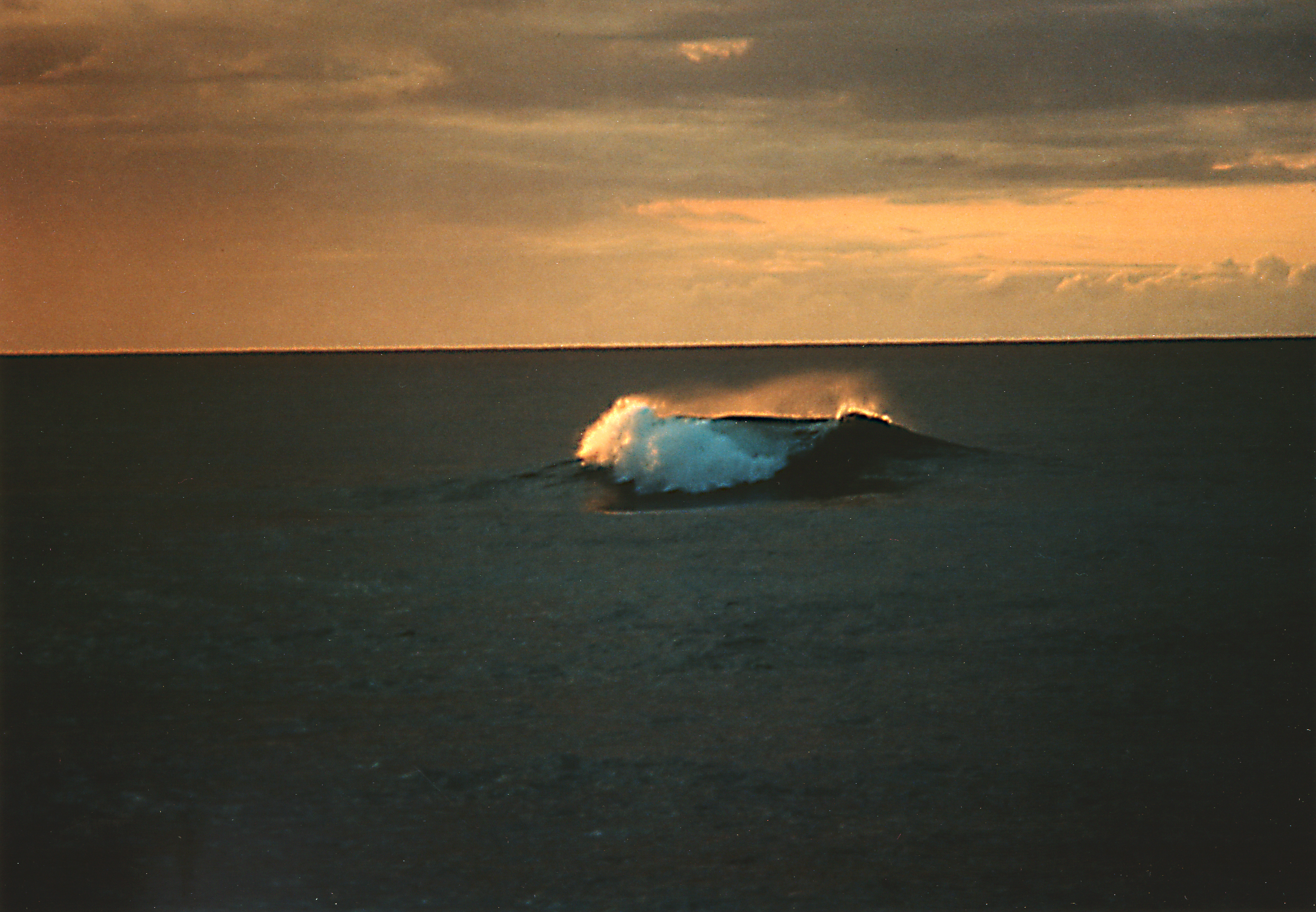 sunset left 1.jpg