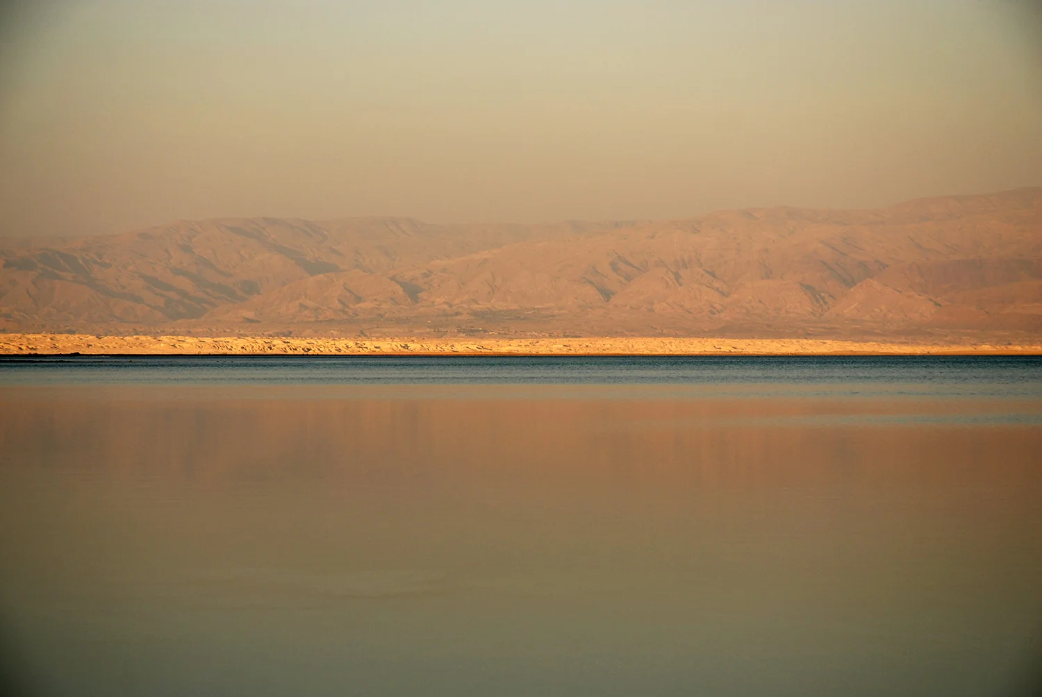 DSC_9847.jpg