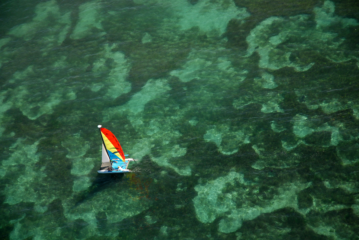 DSC_3632LR.jpg