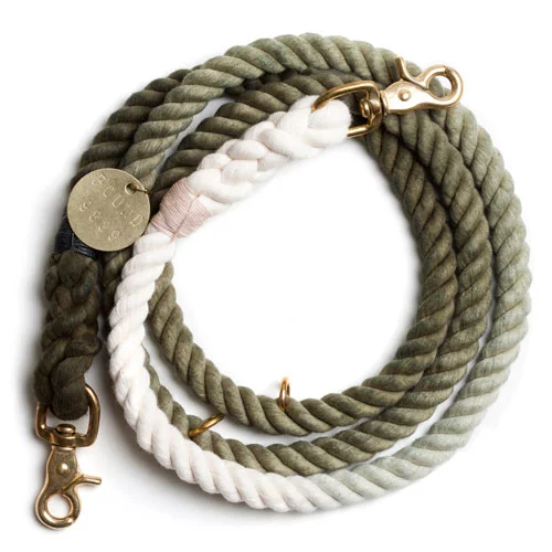 olive_ombre leash.jpg