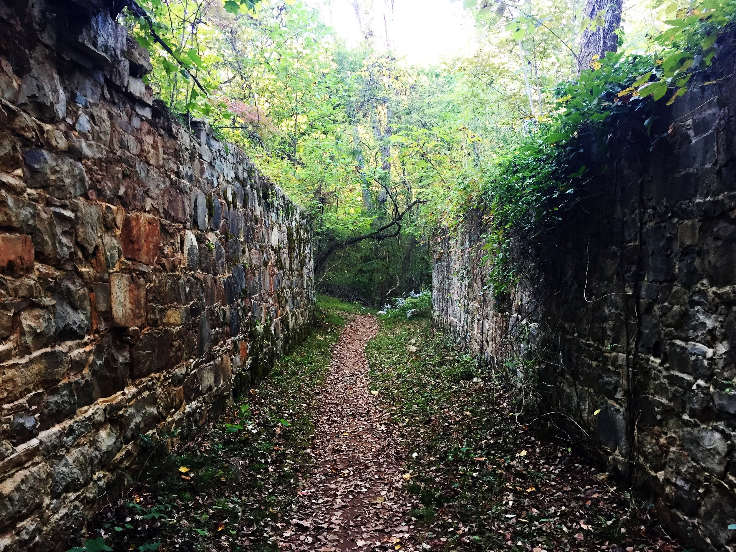 Landsford_Walls_edit.jpg