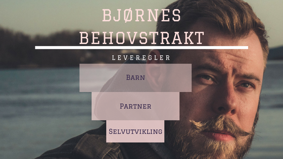 Slå hjul og jobb 20% annerledes.png