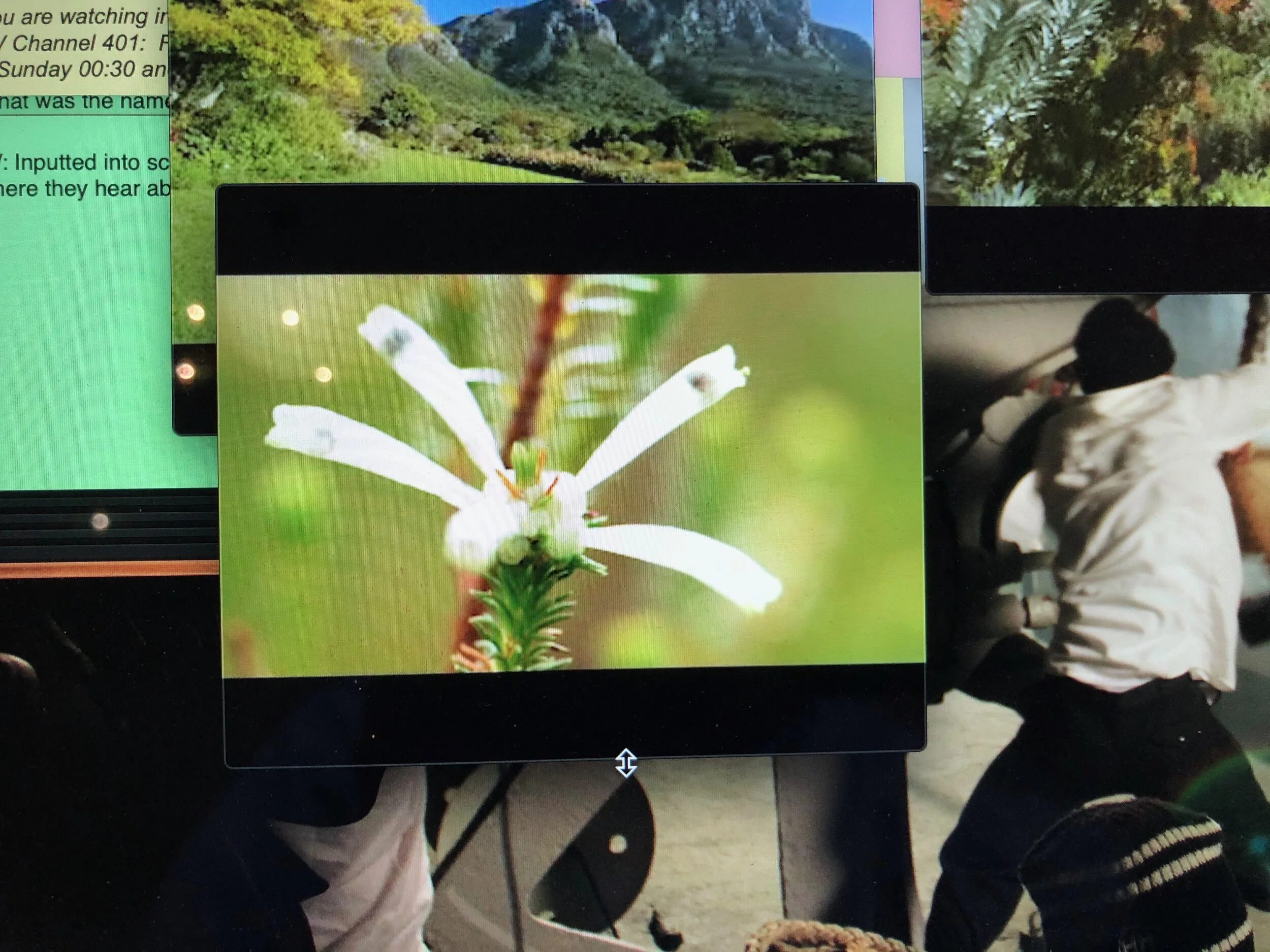 THE PANDEMIC THAT SHIFTED US INTO A DEEPER DIGITAL EMBRACE