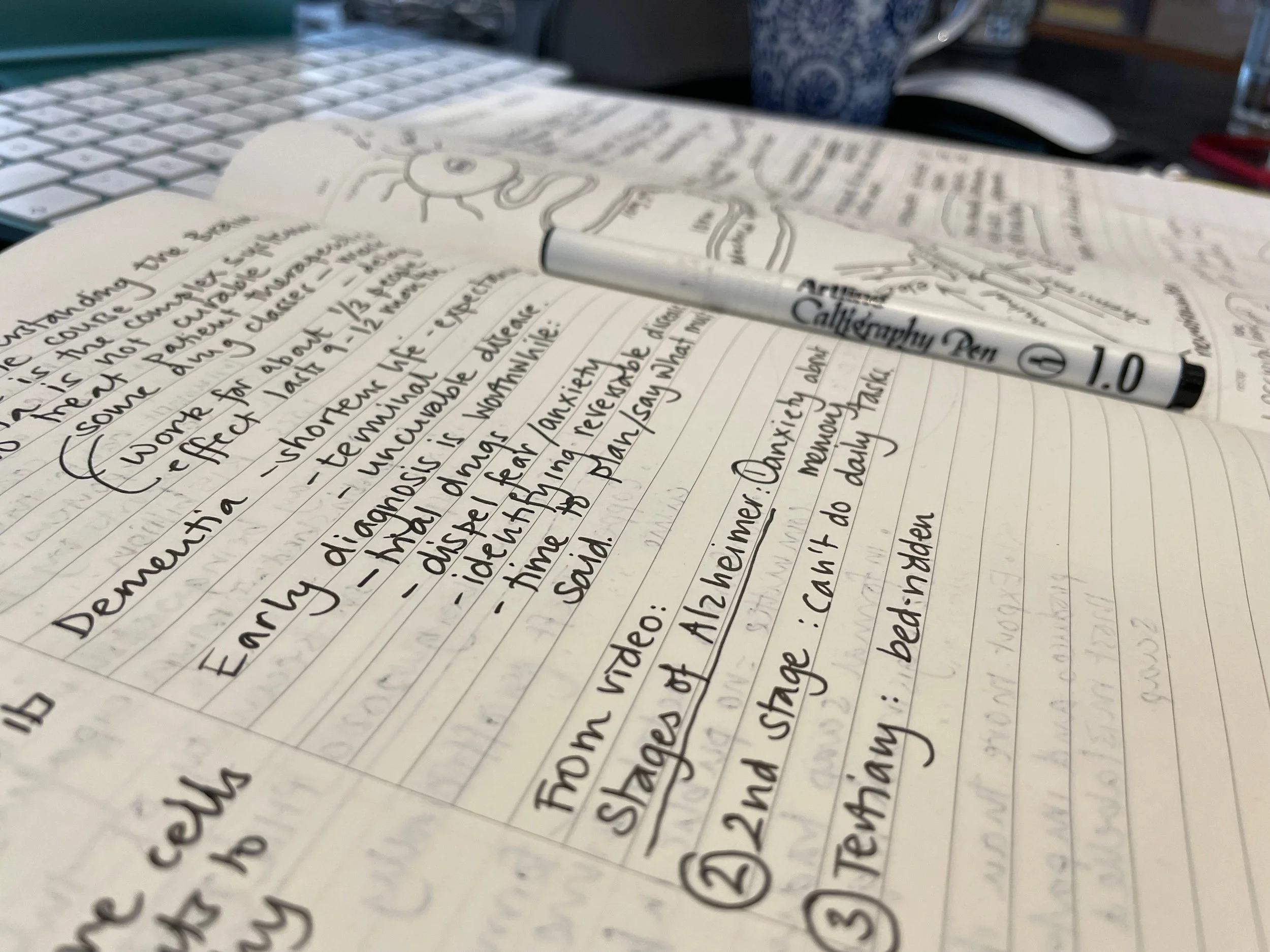 The Dementia Detective