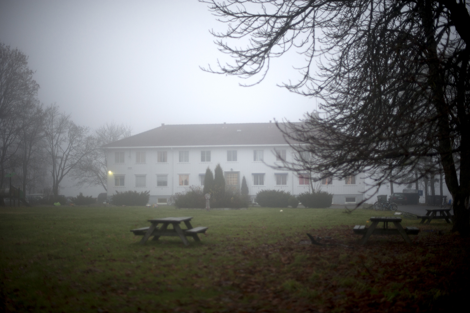 Hjemmeside_først og fremst_010.jpg