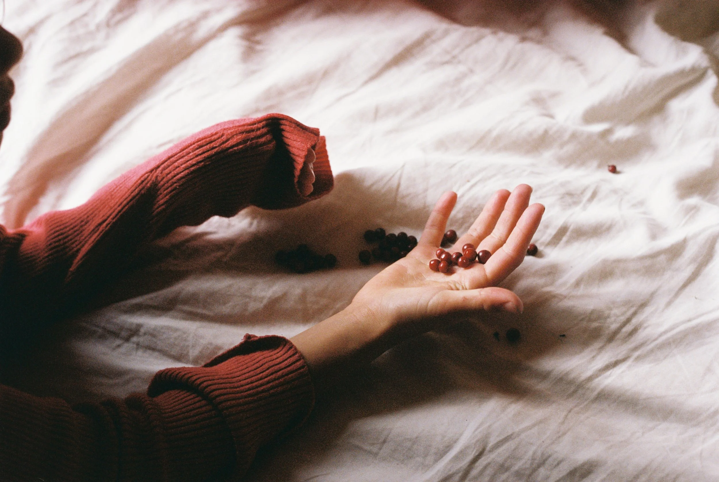 2024_Nytt UtvalgProsjekt skogen_04.JPG