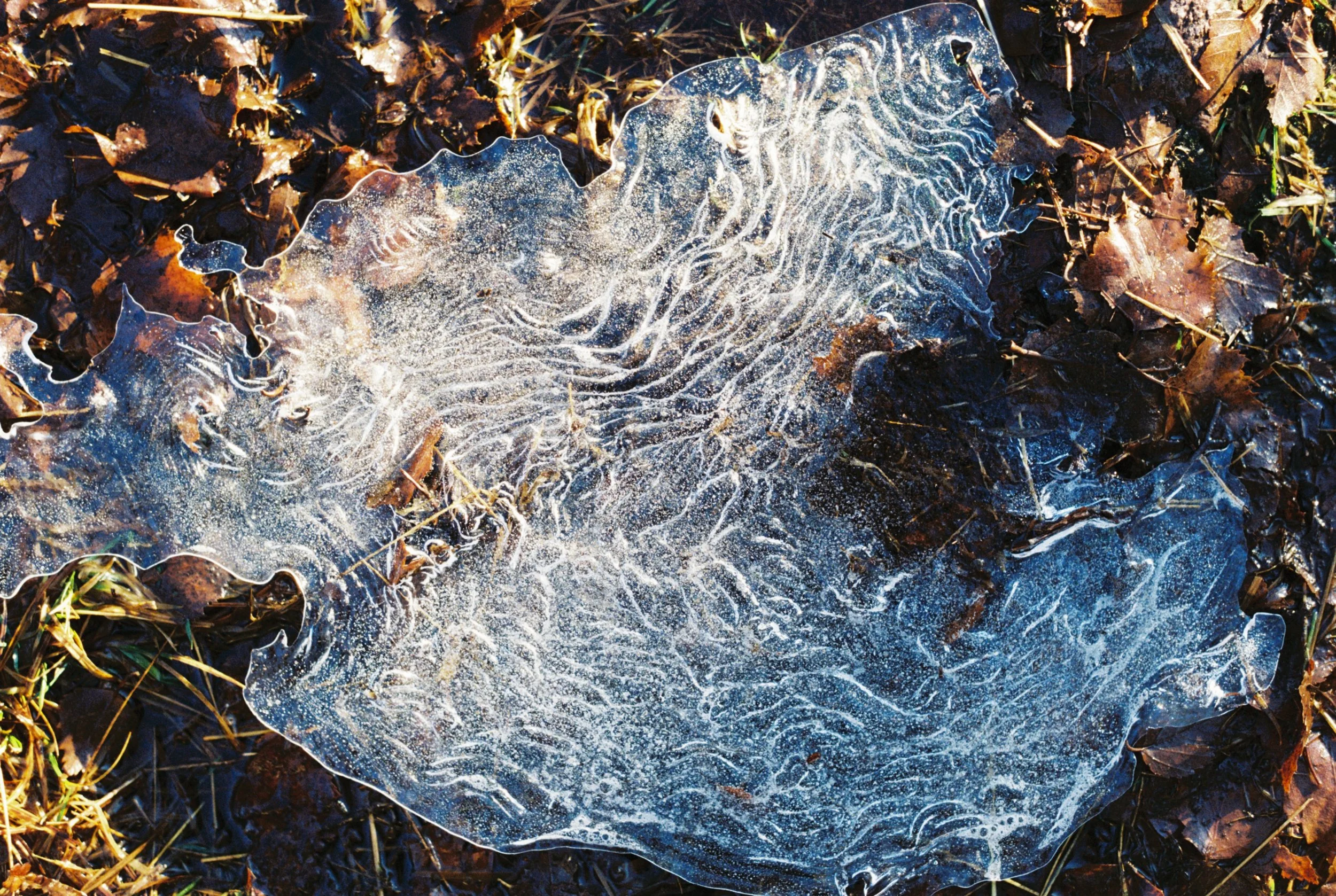 2024_Nytt UtvalgProsjekt skogen_16.JPG