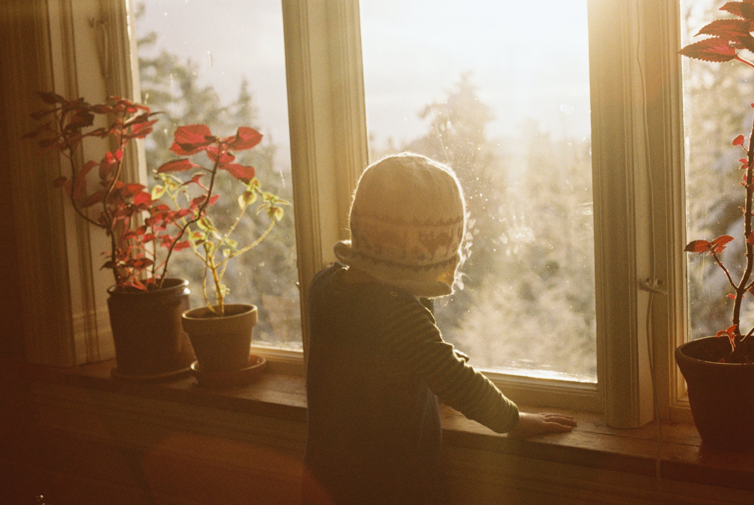 2024_Nytt UtvalgProsjekt skogen_17.JPG