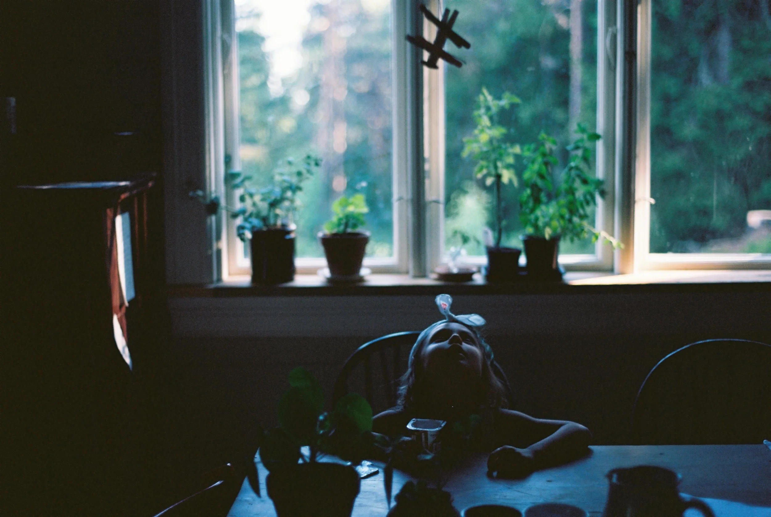 2024_Nytt utvalg_Prosjekt Skogen__del 2_10.JPG