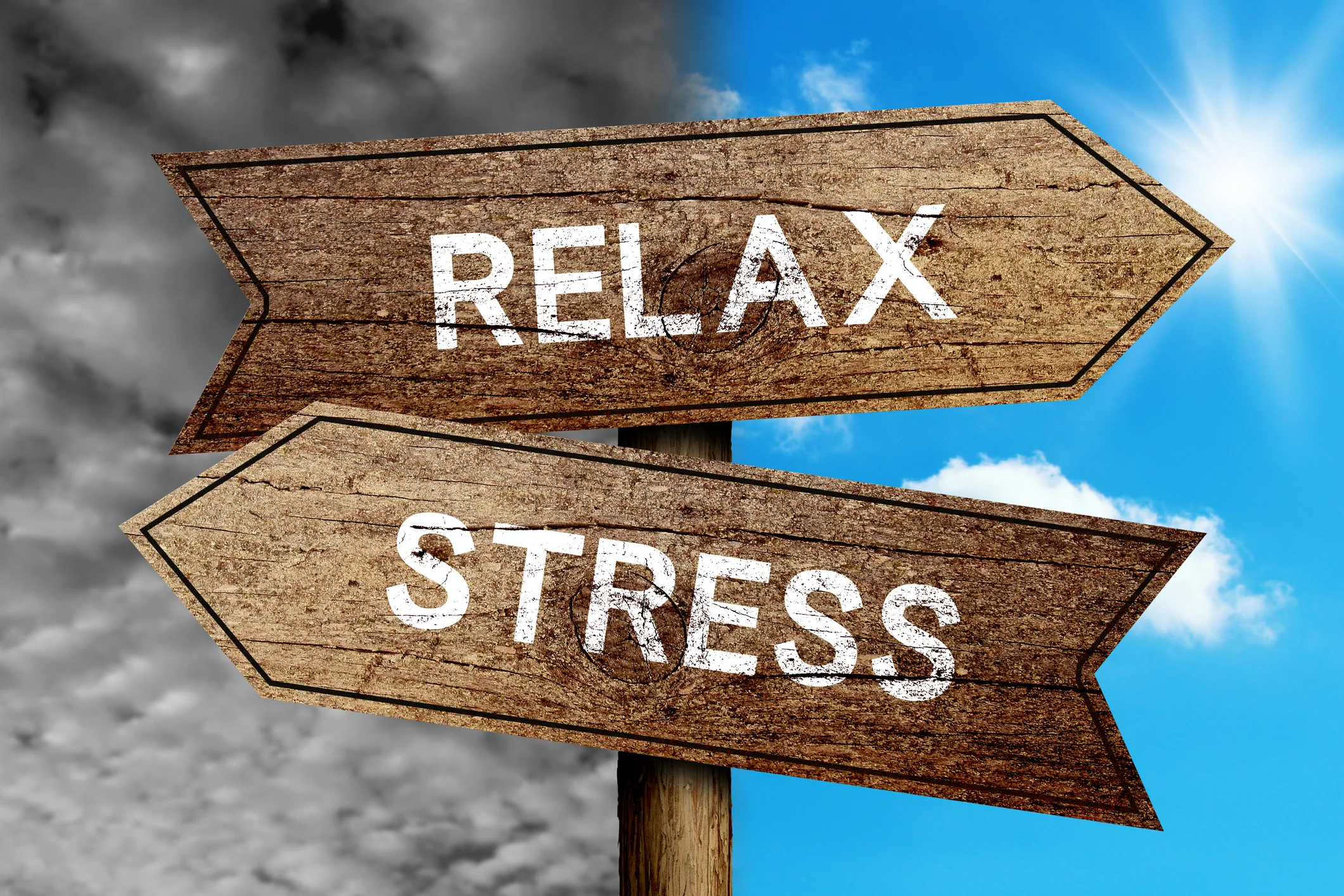 Depression and Anxiety: The Risk Factors You Need to Know