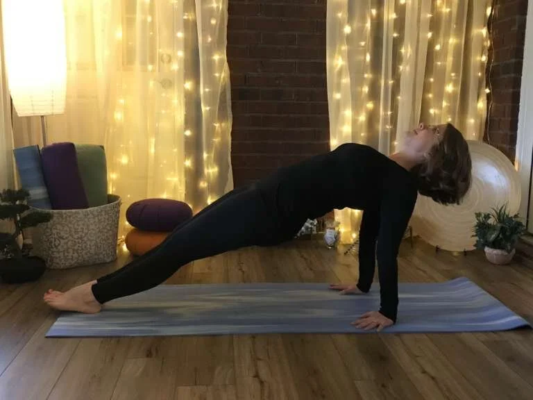 reverse plank.jpeg