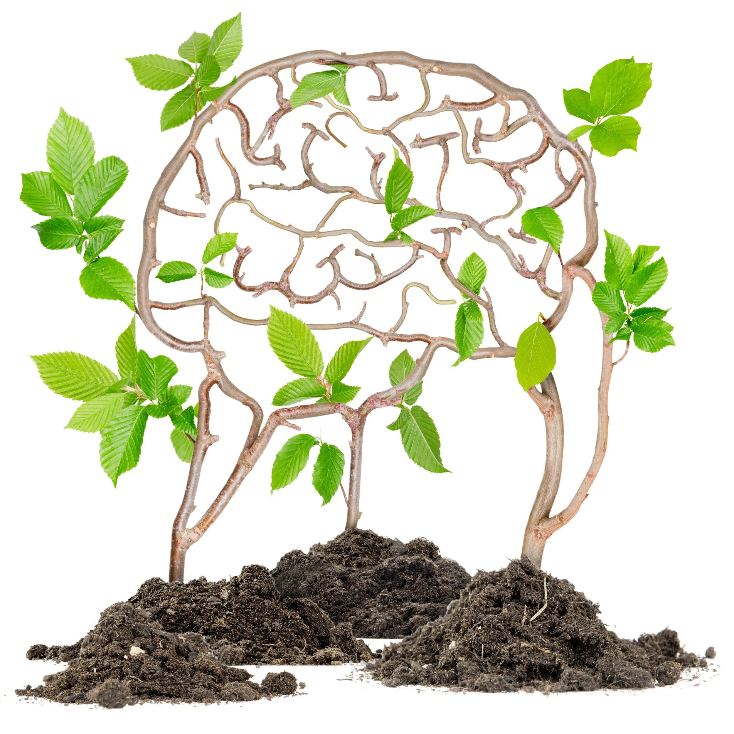 The Importance of Mindfulness