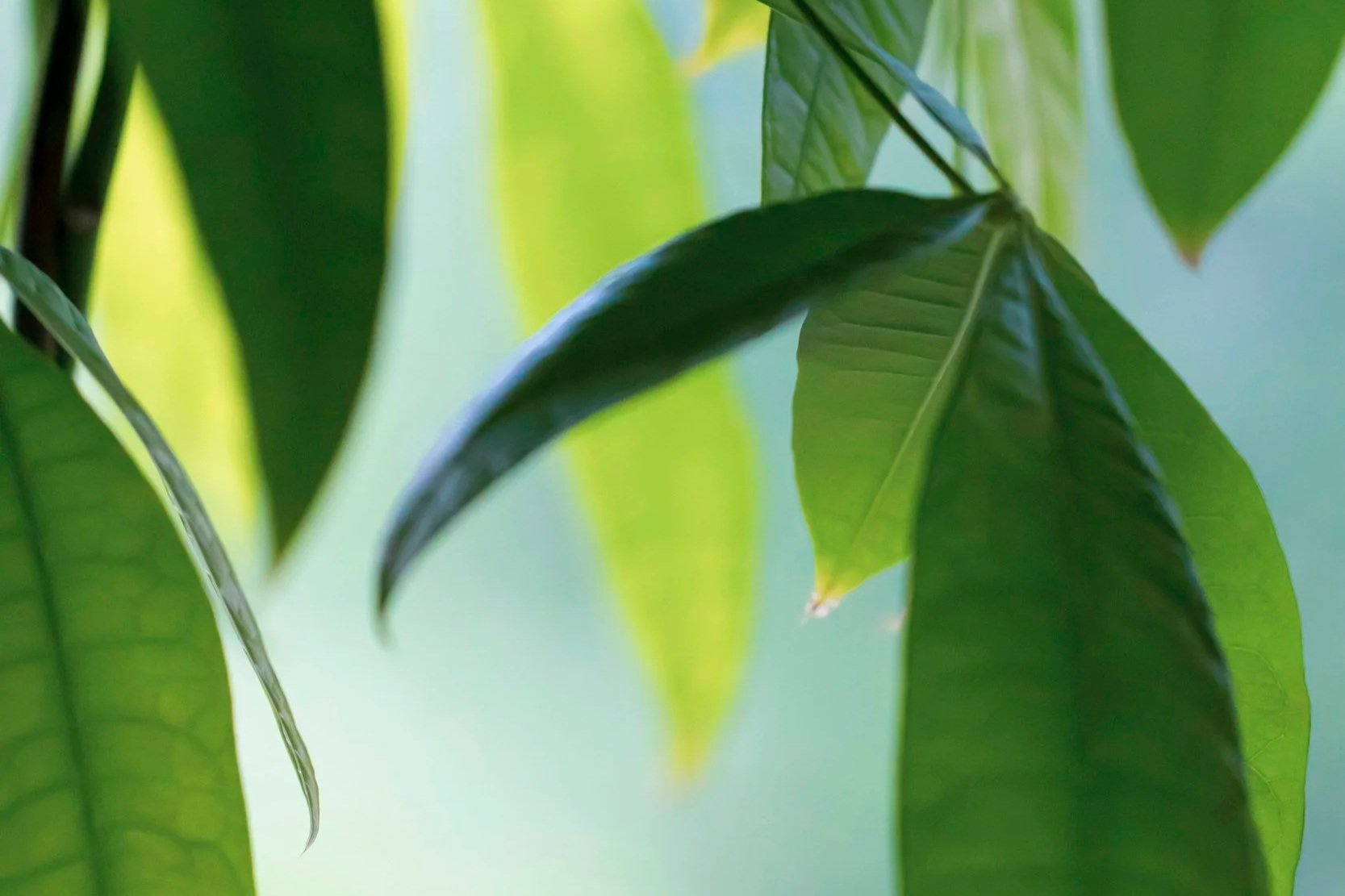 Navigating Financial Stress and Anxiety