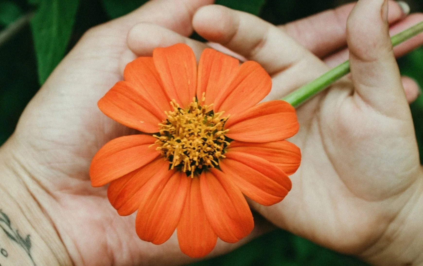 Honoring Maternal Mental Health