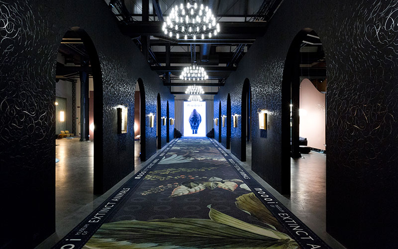 moooi3.jpg