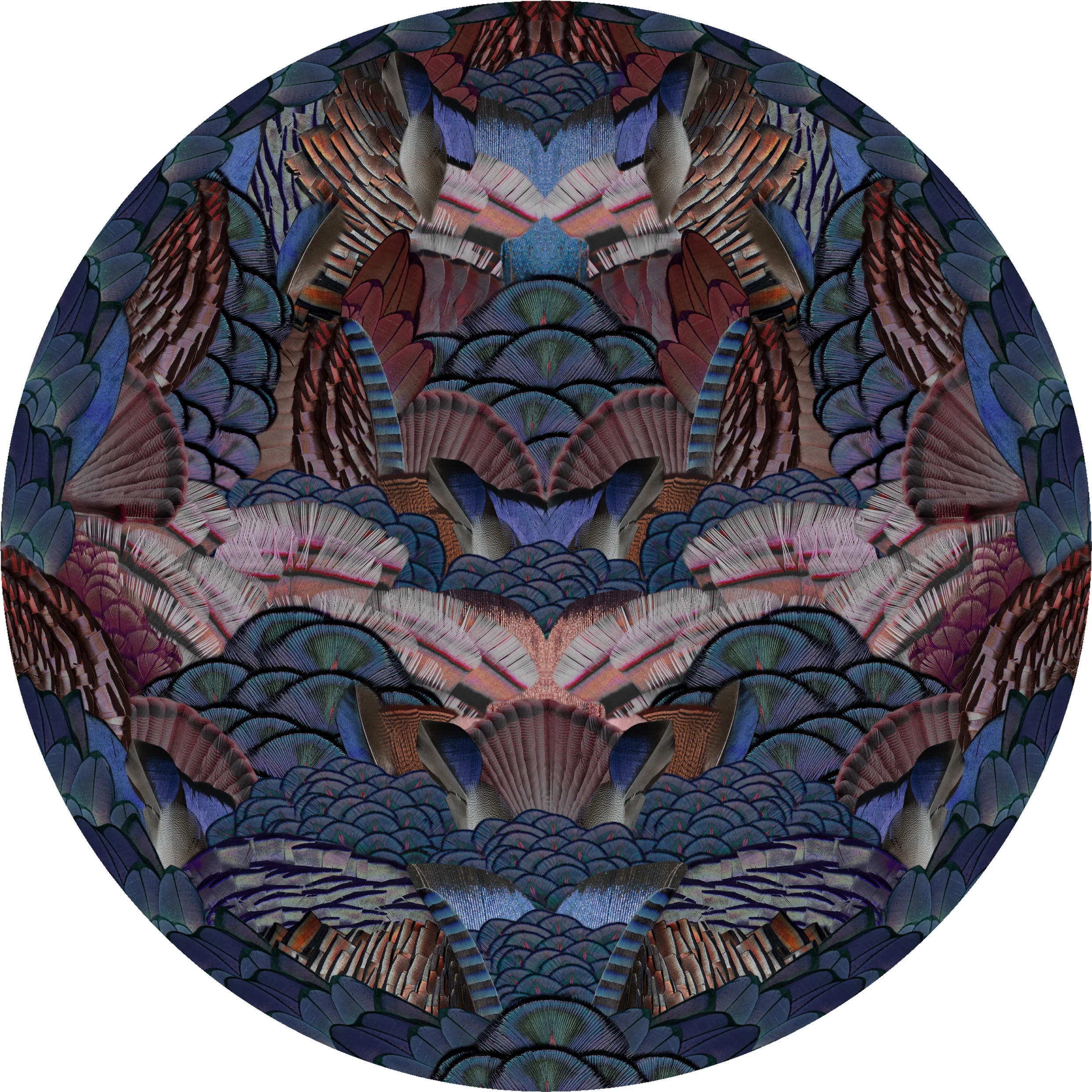 Moooi Carpets, Extinct Animals Collection – Calligraphy Bird