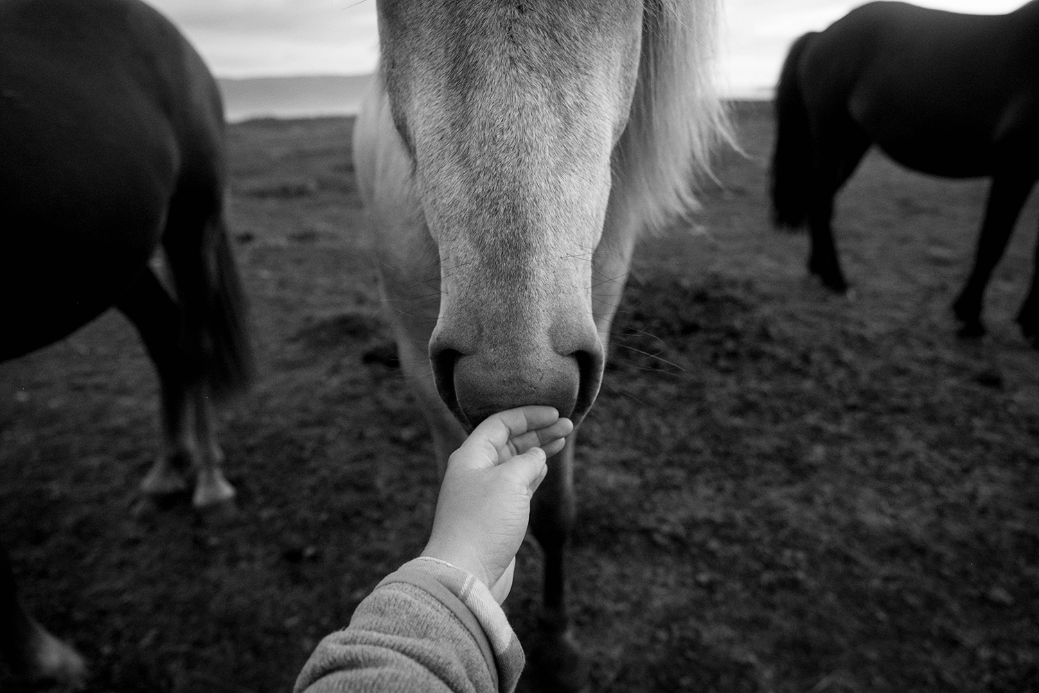 ©Esther Nooner