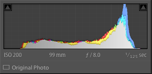 Fig 3. Adjusted Histogram