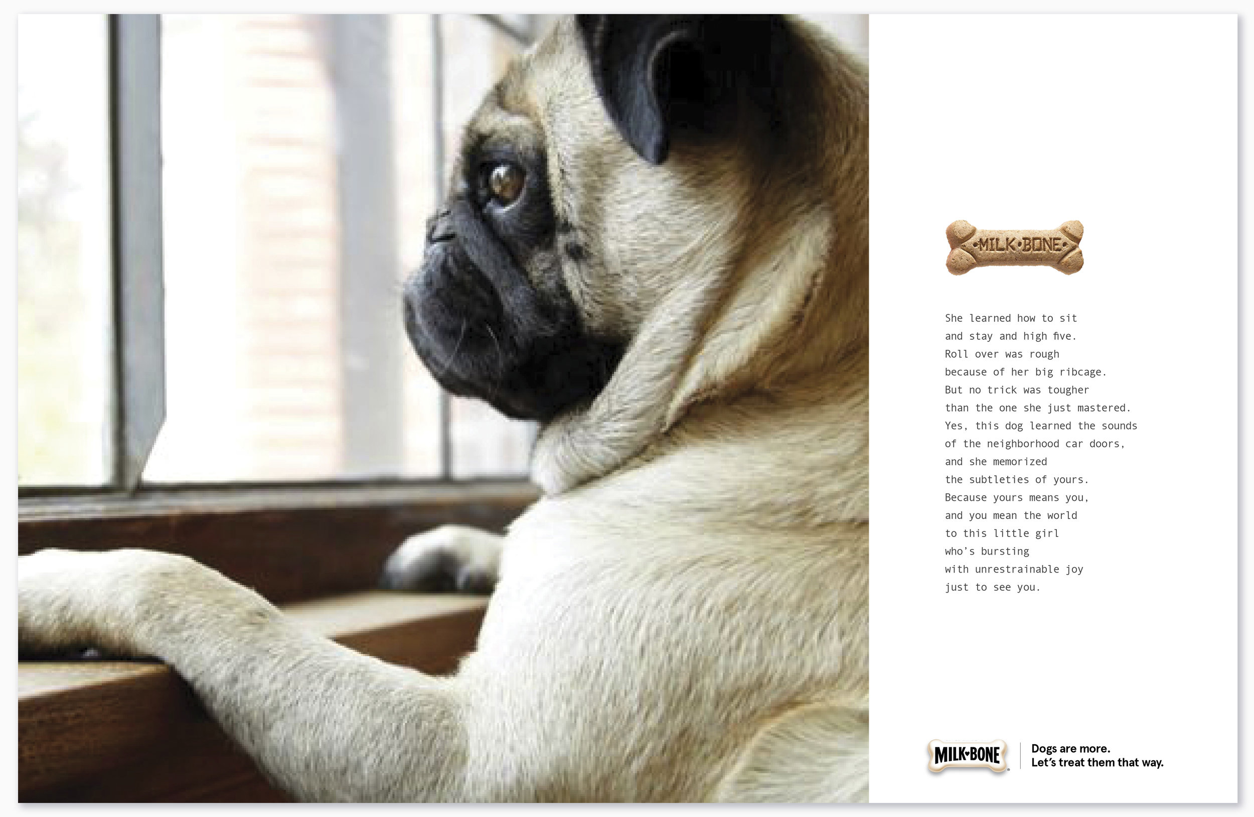 #MilkBone_ad1 cropped.jpg