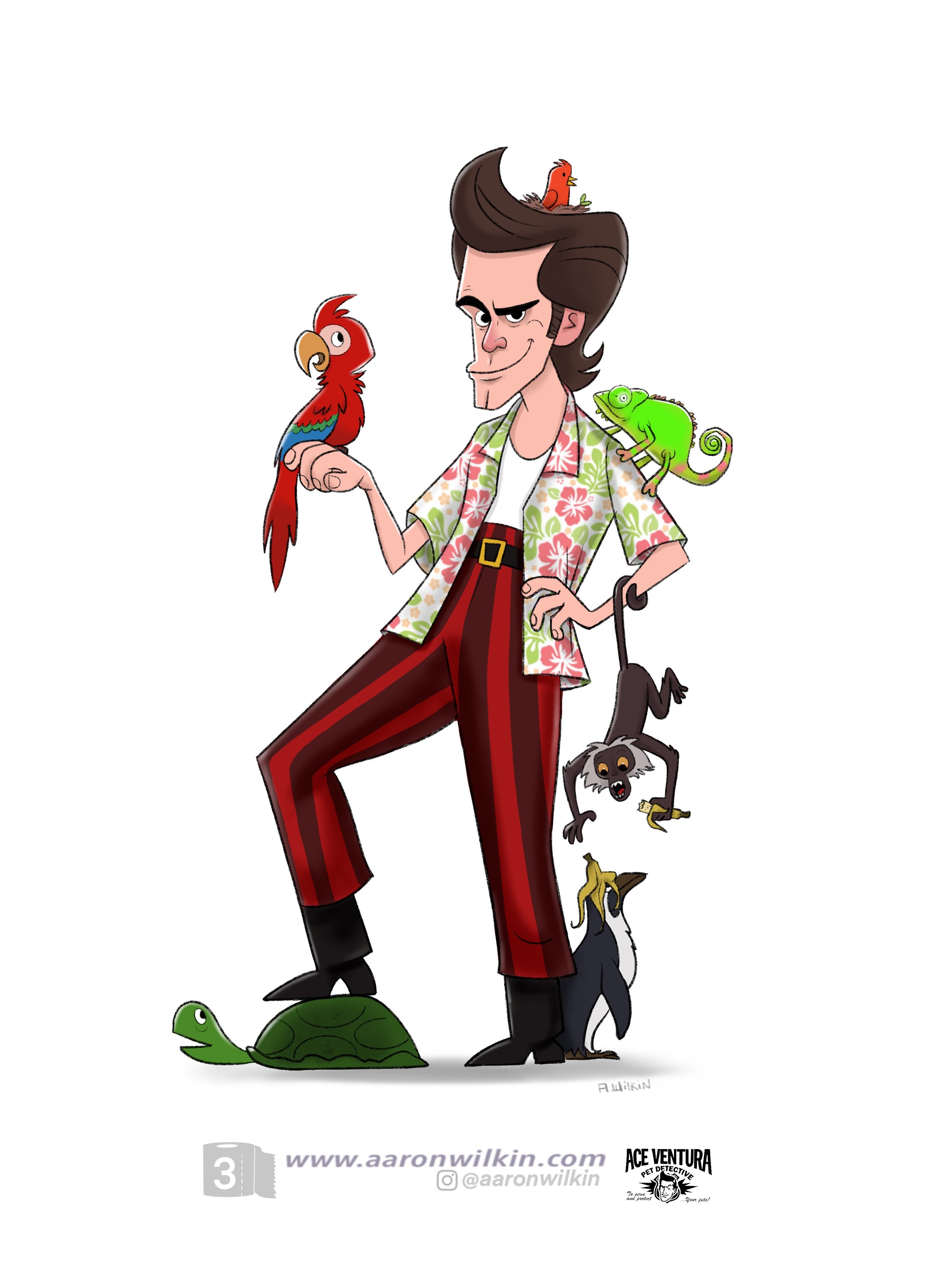 Ace Ventura Character Design