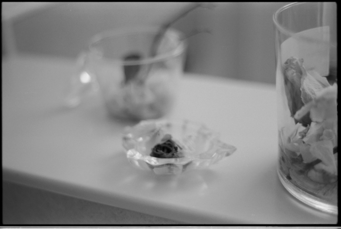 MM_Dead Roses_27.png