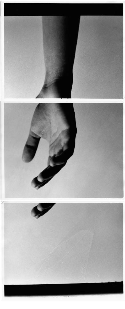 No. 7