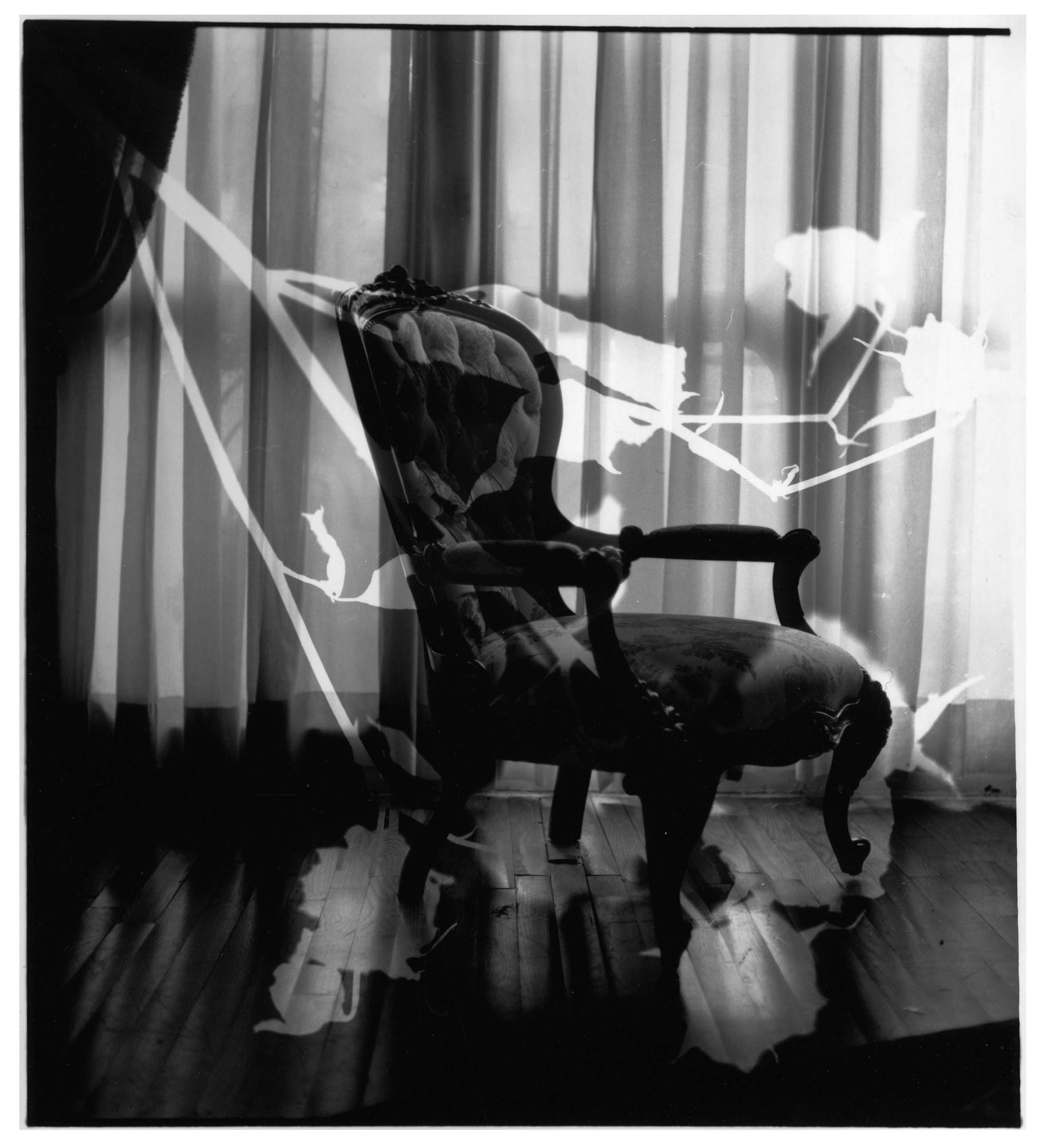 MM_Chairs_Roses_No. 7x.jpg