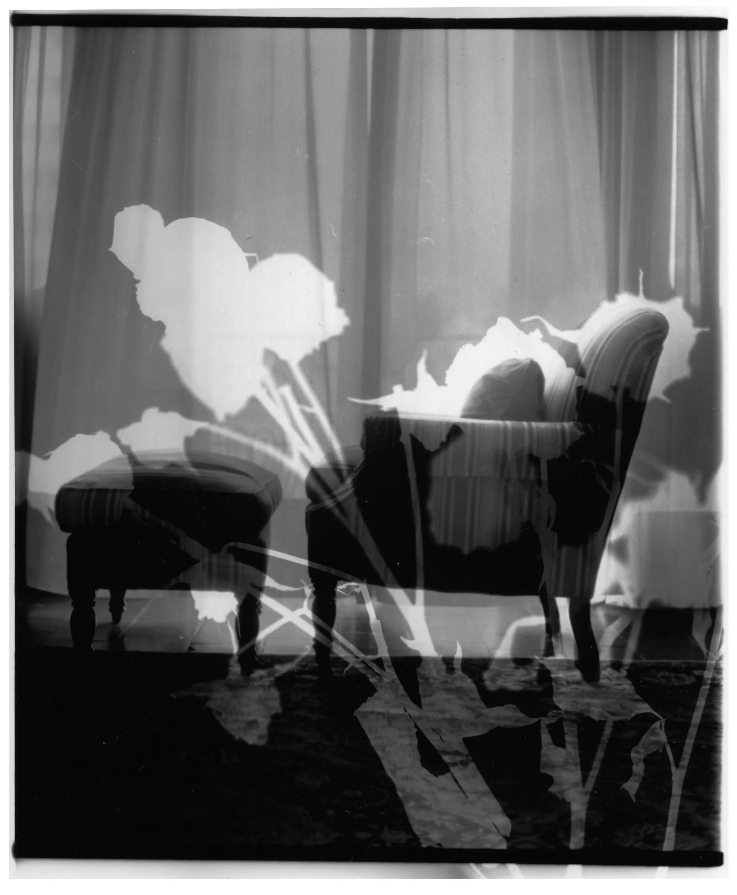 MM_Chairs_Roses_No. 12x.jpg
