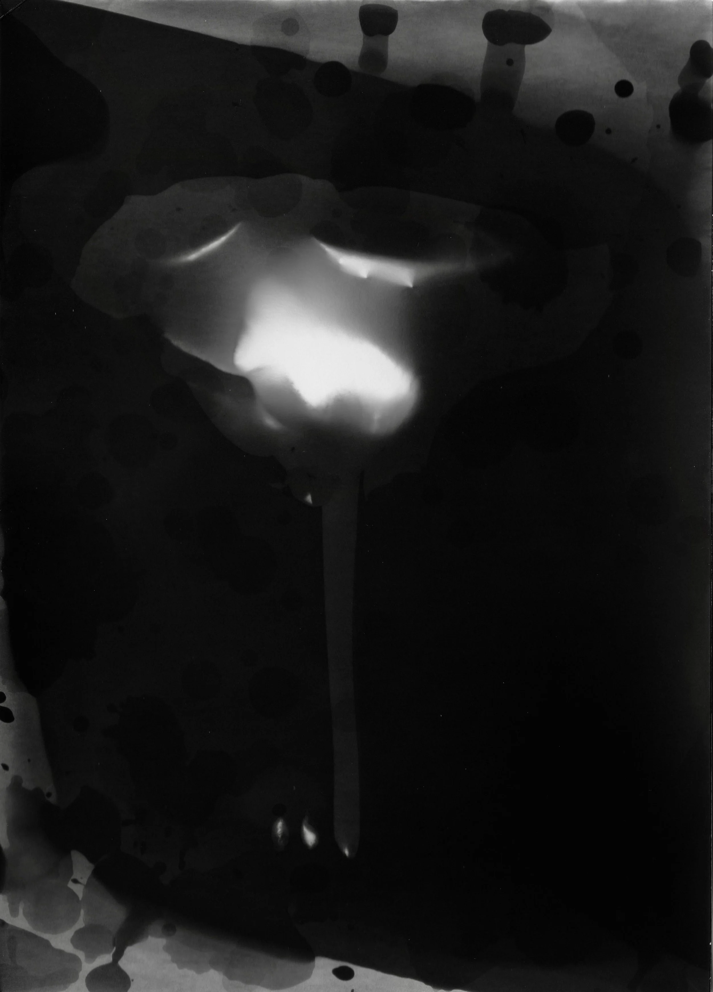 MM_NewRose__20181206_0035.jpg
