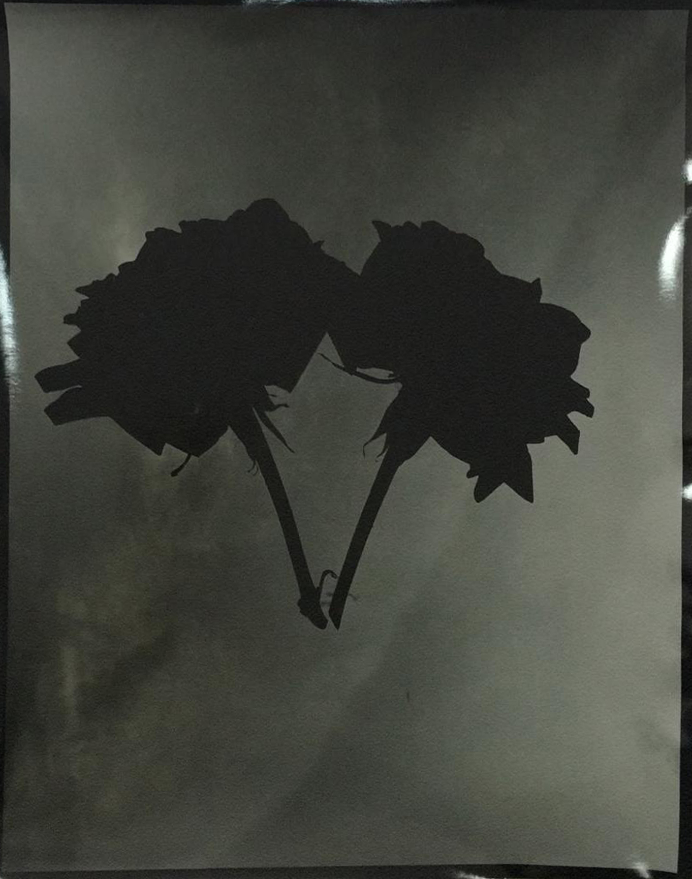 Mai Al Moataz, Gelatin Silver print,  fiber, 35.5x27.5cm (3).jpg