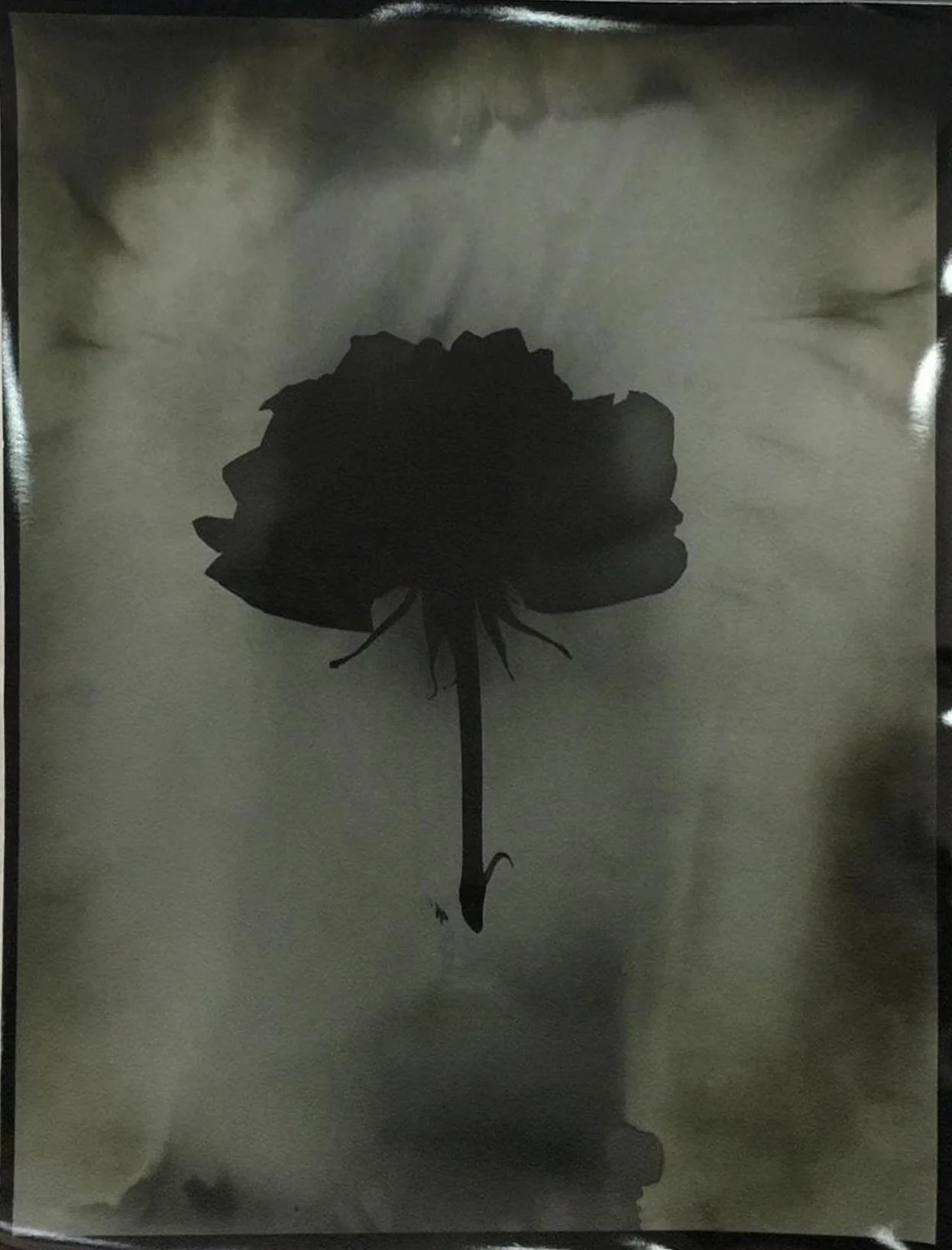 Mai Al Moataz, Gelatin Silver print, fiber, 35.5x27.5cm (5).jpg