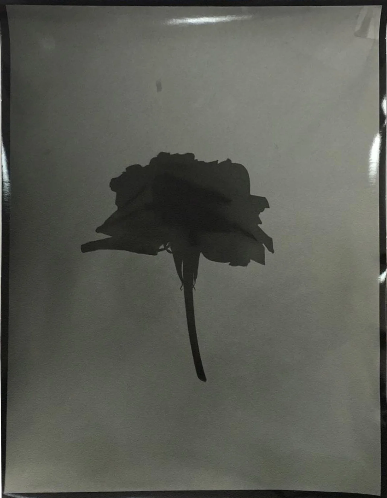 Mai Al Moataz, Gelatin Silver print, fiber, 35.5x27.5cm.jpg
