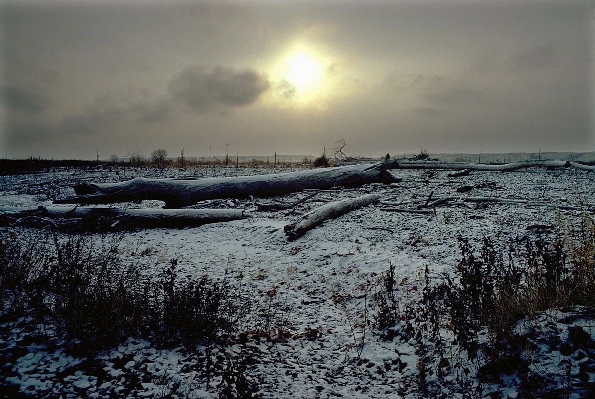 yellowstone