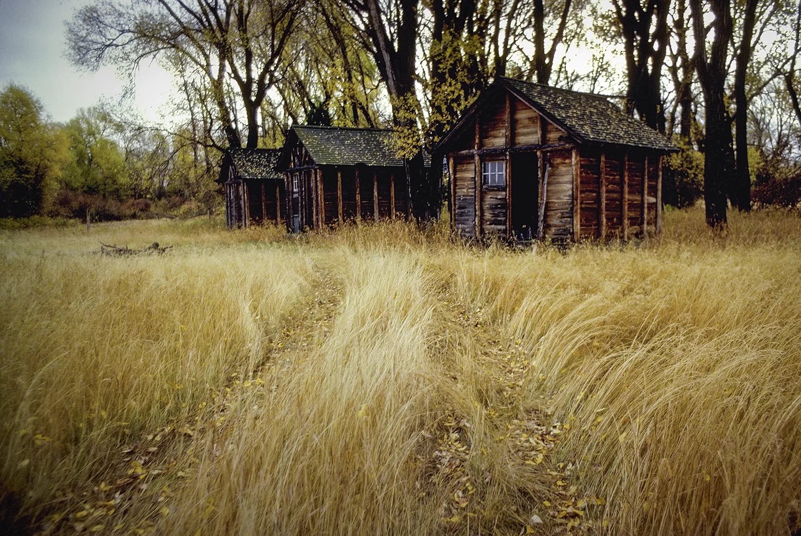 3 cabins.jpg