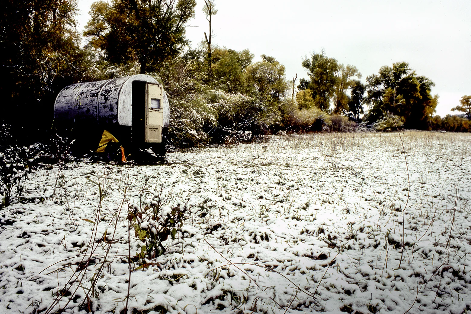 SheepWagon_8.jpg