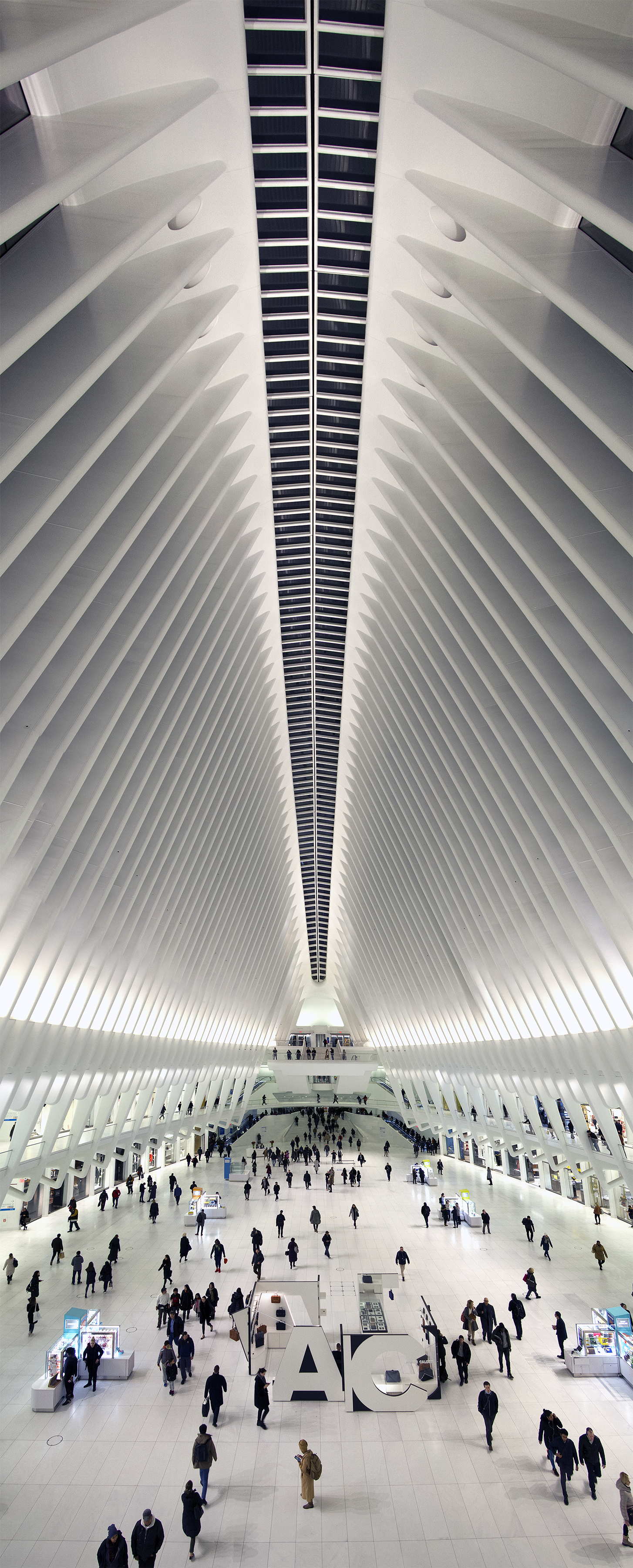 Oculus_Panorama2adjustedSmall.jpg