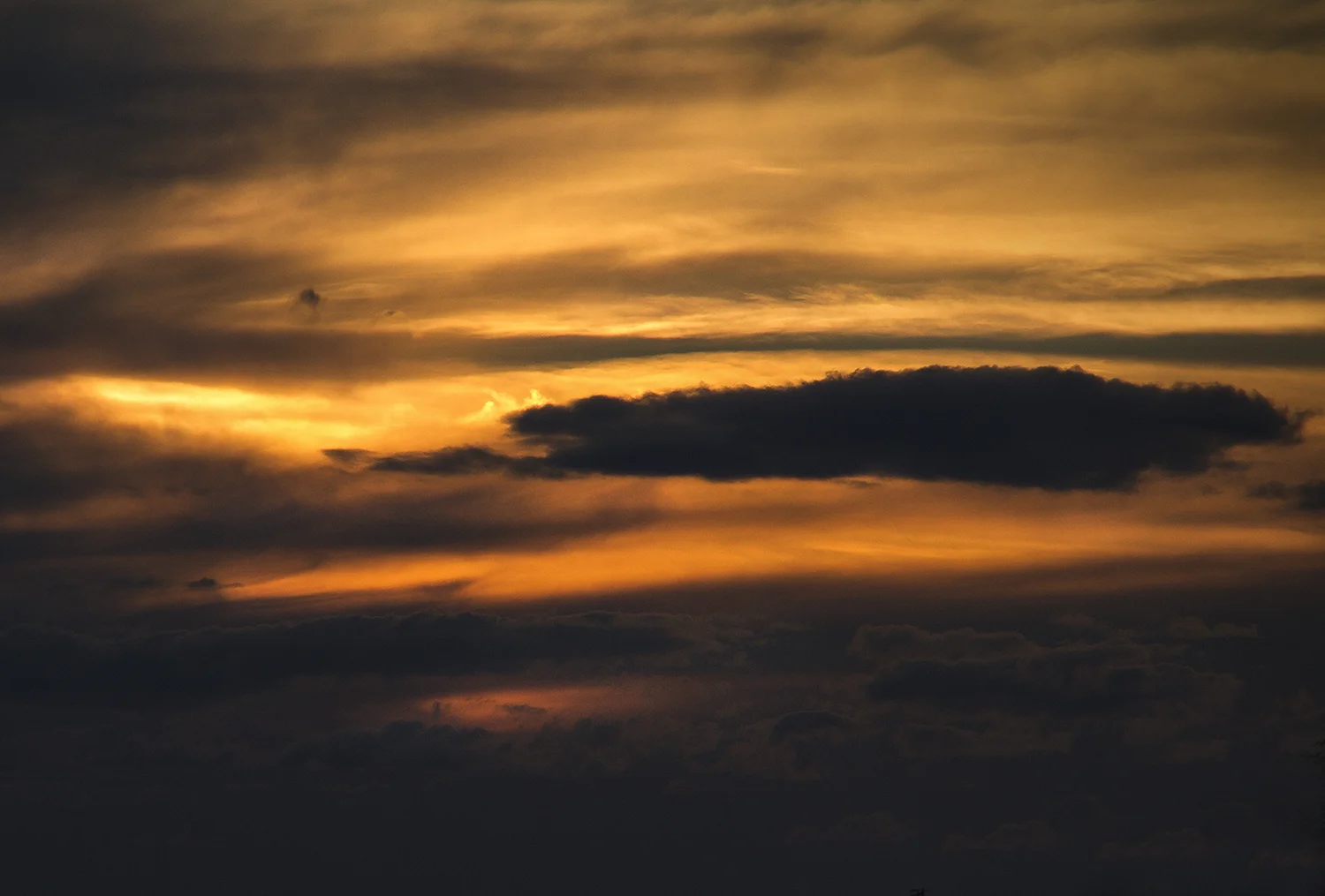 SunsetDetail_2_1500.jpg