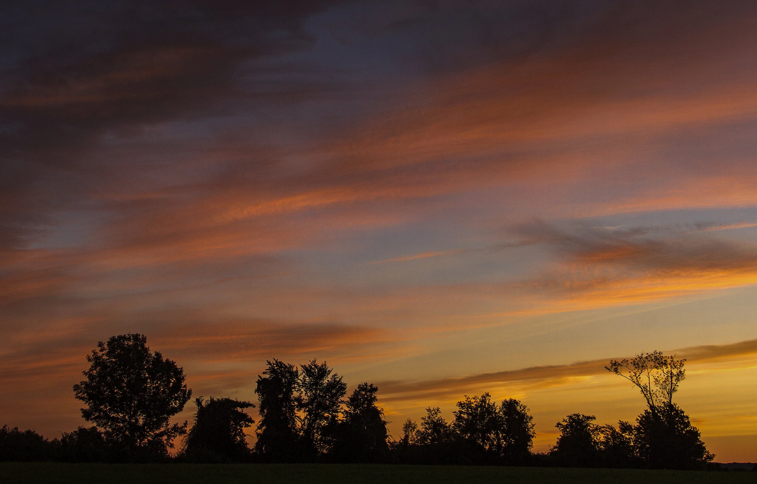 sky2 (1).jpg