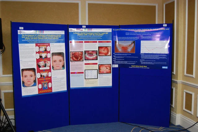 Posters (Birmingham 2013)
