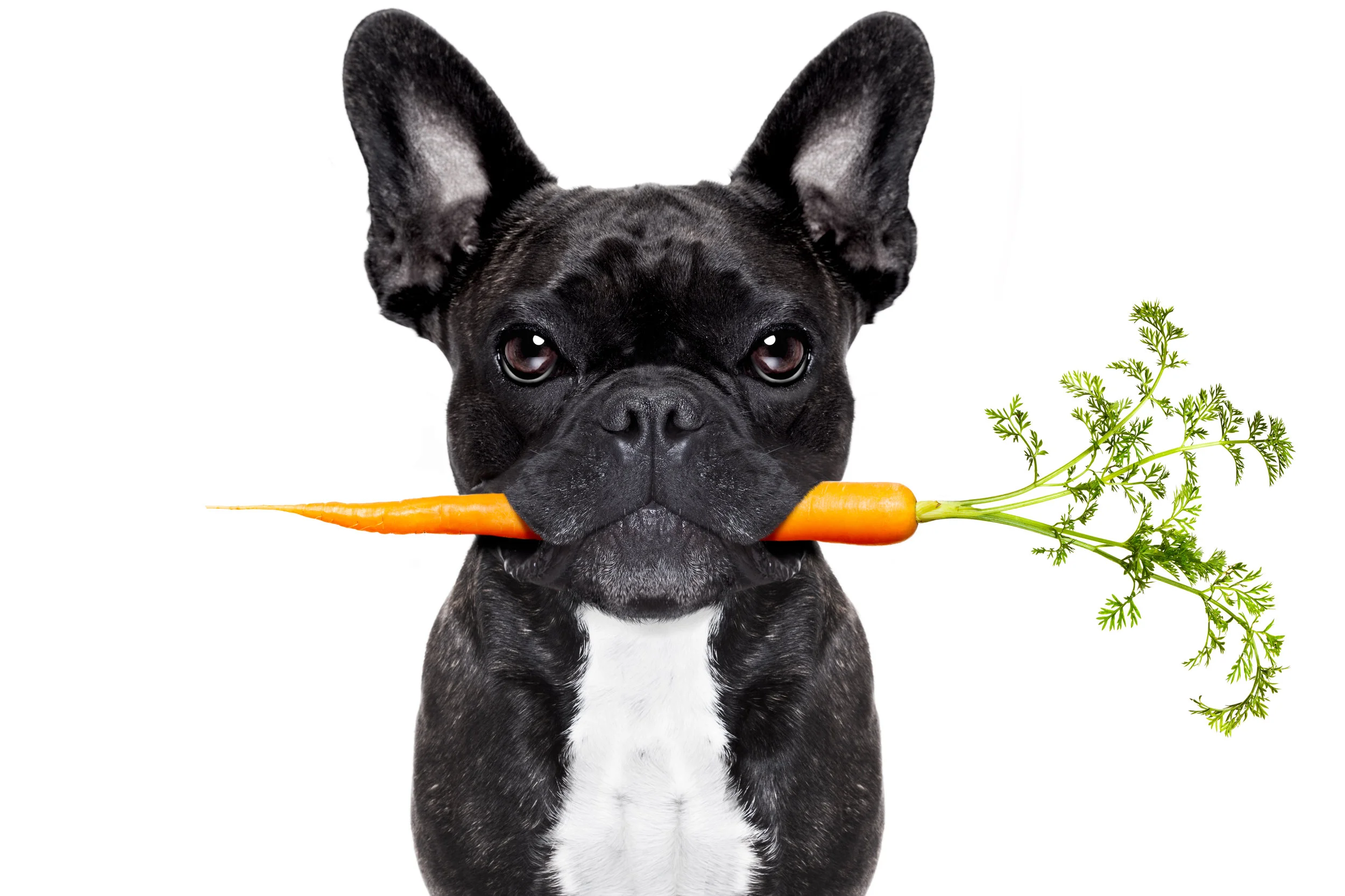 iStock-513043202.jpg