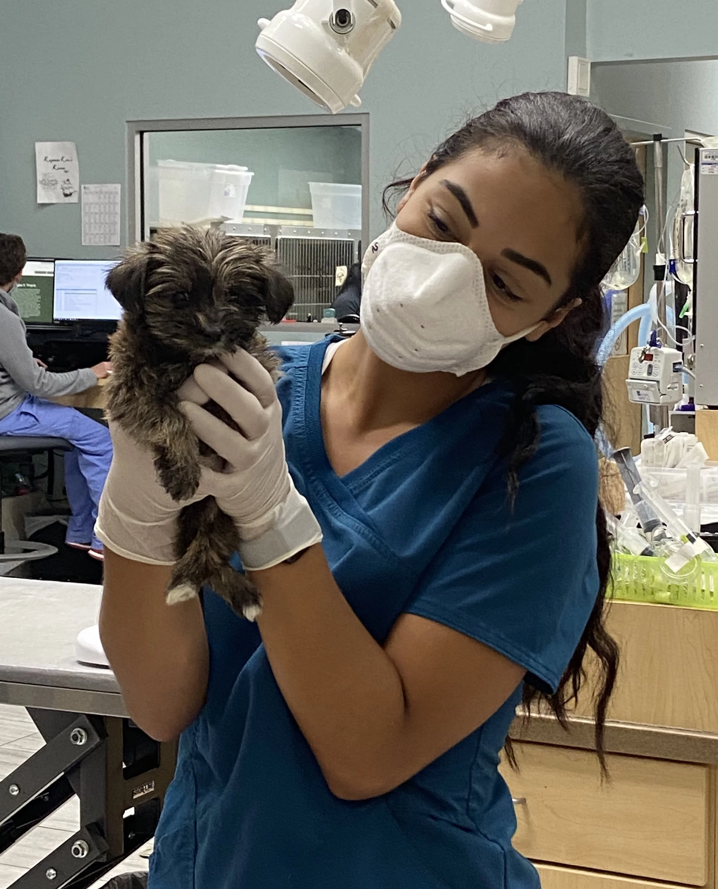 veterinary emergency care near me