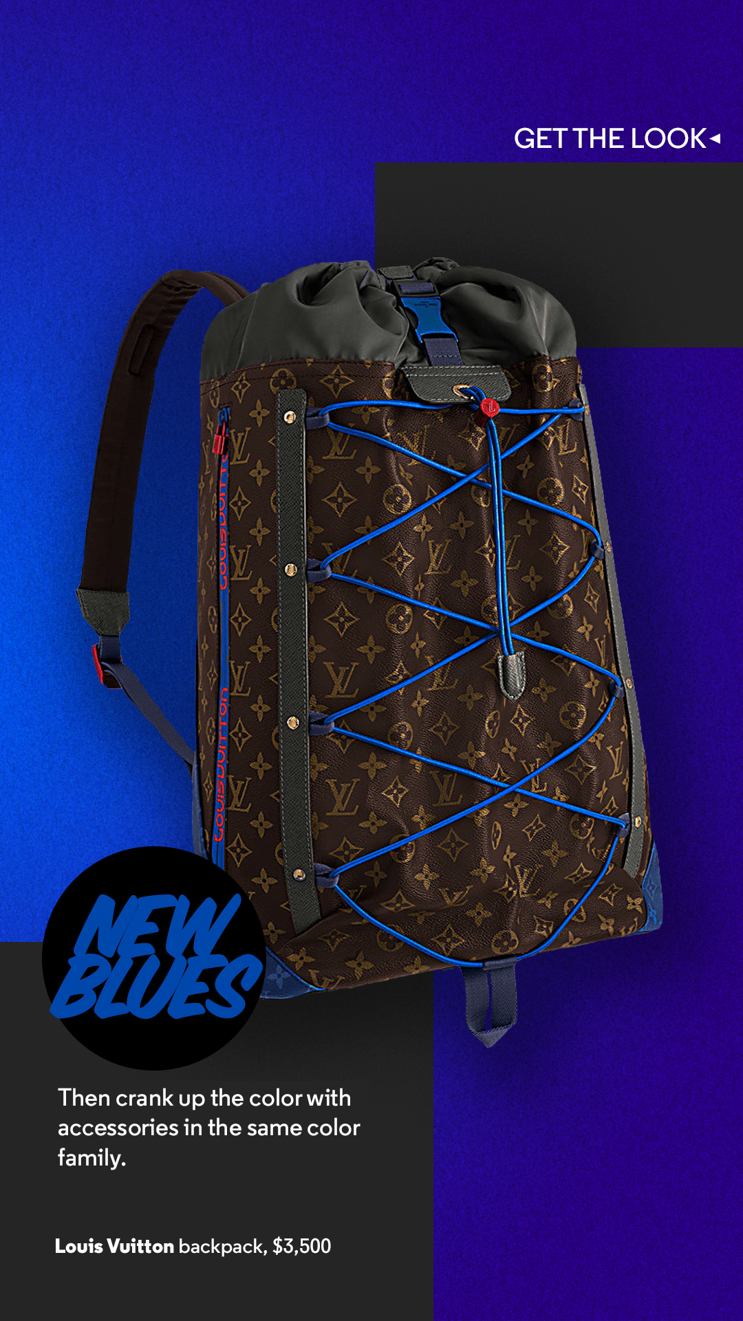 LVbackpack.jpg