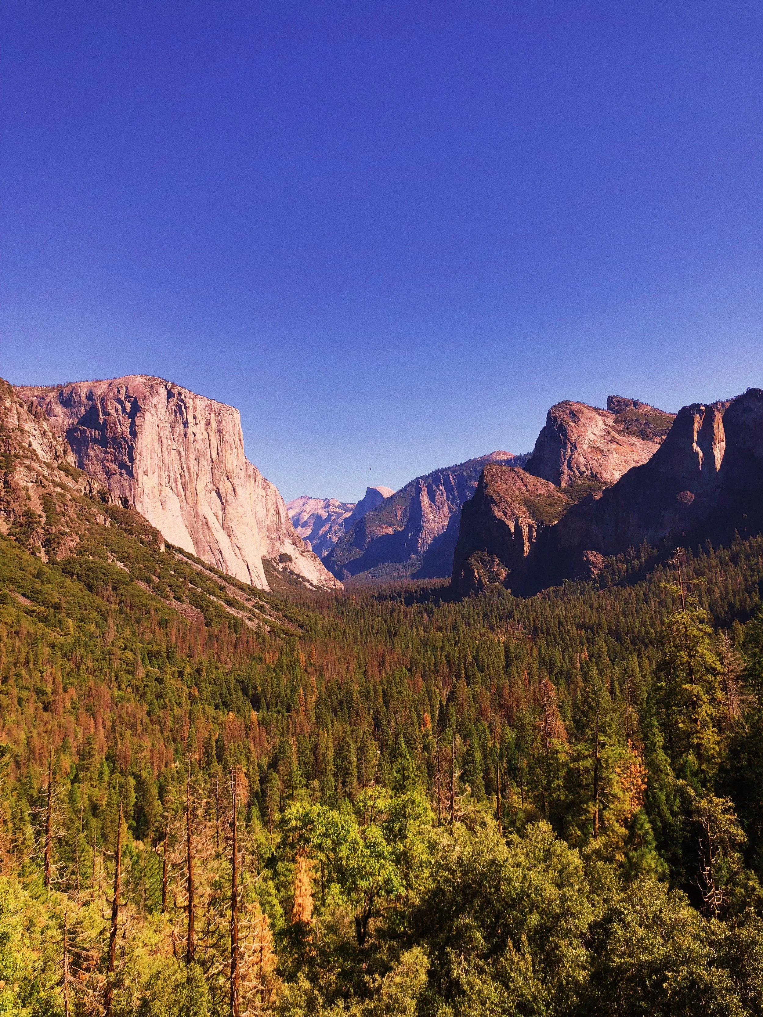 TravelNoire | Traveler Feeds His Love For The Outdoors By Conquering Yosemite National Park